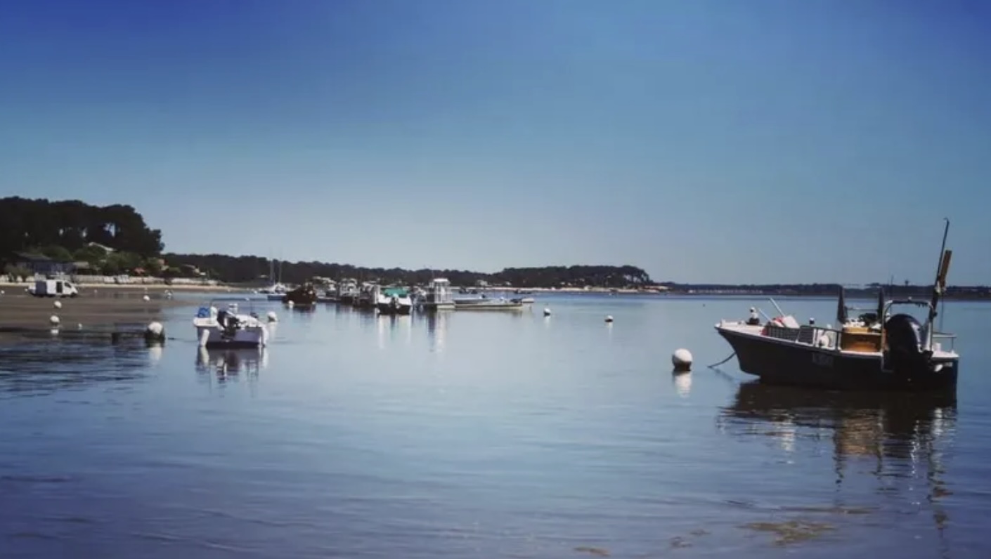 prestation Navigation professionnelle